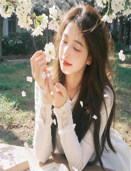 发布会实录：《花儿朵朵》幕后故事了解指南现象级的：制作背景与趣闻分享